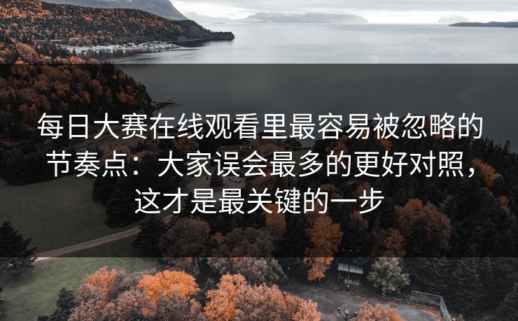 每日大赛在线观看里最容易被忽略的节奏点：大家误会最多的更好对照，这才是最关键的一步
